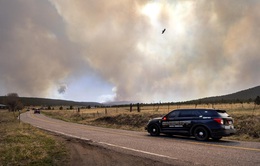 Mỹ: Cháy rừng càn quét bang New Mexico, hàng trăm ngôi nhà bị thiêu rụi