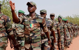 Đánh bom liều chết ở Mali và Burkina Faso khiến 21 người chết, hàng chục người bị thương