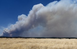 Mỹ: Cháy rừng kỷ lục bùng phát ngoài tầm kiểm soát ở bang New Mexico