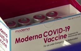 Hãng Moderna xây dựng một cơ sở sản xuất vaccine COVID-19 ở tỉnh Quebec, Canada