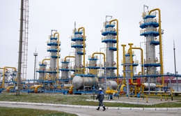 Nga có thể thu về 321 tỷ USD từ dầu khí