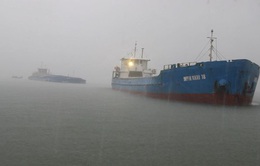 Hai tàu hàng đâm nhau ở vùng biển Bình Định, 1 thuyền viên mất tích
