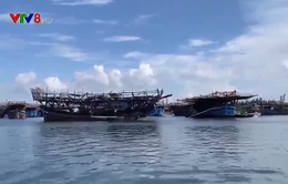 Ngư dân Quảng Ngãi bị tàu nước ngoài uy hiếp ở vùng biển Trường Sa