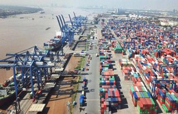 Bộ Tài chính tiếp tục đề nghị TP Hồ Chí Minh sửa quy định về thu phí hạ tầng cảng biển