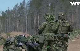 Estonia tập trận quân sự chung với Mỹ