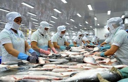 Thêm 6 nhà máy chế biến cá tra được xuất khẩu sang Mỹ