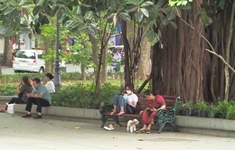 Cấm mang vật nuôi, loa kéo vào phố đi bộ Hồ Hoàn Kiếm: Nhiều người dân đồng tình