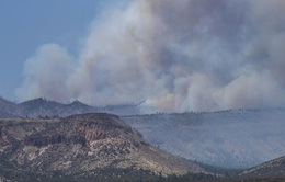 Cháy rừng kỷ lục tại Mỹ: Hàng nghìn người ở bang New Mexico sẵn sàng sơ tán