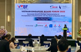 Việt Nam - Singapore hợp tác thực thi chiến lược tăng trưởng