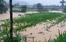 Lâm Đồng ngập nặng do mưa lớn