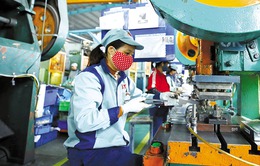 Nhiều doanh nghiệp nước ngoài muốn đầu tư ở Việt Nam