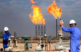 IMF: Vùng Vịnh có thêm 1.400 tỷ USD trong 5 năm tới nhờ giá dầu cao