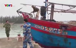 Kịp thời cứu 5 ngư dân và tàu cá bị nạn trên biển Cù Lao Chàm