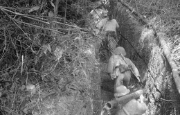 Chiến hào - bàn đạp tiến công trong chiến dịch Điện Biên Phủ