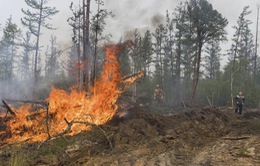 Cháy rừng nghiêm trọng tại Siberia, ít nhất 10 người thiệt mạng