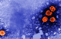 Argentina ghi nhận ca nhiễm viêm gan bí ẩn