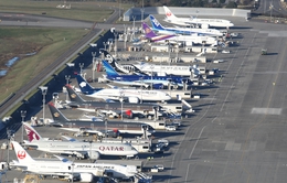 IATA: Hàng không thế giới đối mặt thách thức ngày một lớn