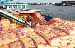 Hơn 1 tỷ USD xuất khẩu gạo