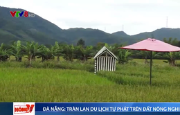 Đà Nẵng: Tràn lan mô hình du lịch tự phát trên đất nông nghiệp