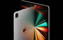 iPad Pro mới sẽ có màn hình 14 inch?