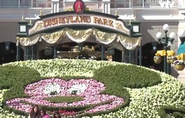 Du lịch trọn gói đến tất cả 12 công viên Disneyland