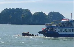 Va chạm tàu du lịch trên vịnh Lan Hạ, 1 nữ du khách tử vong