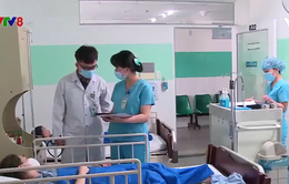 Gia tăng bệnh sốt xuất huyết bất thường tại Đà Nẵng
