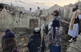 Động đất tại Afghanistan: Cộng đồng quốc tế đẩy mạnh hoạt động hỗ trợ