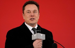 Elon Musk gọi các nhà máy Tesla mới là “lò đốt tiền khổng lồ”