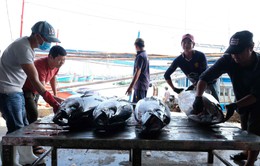 Gần 1,7 tỷ USD hải sản Việt xuất đi các nước