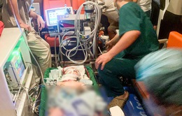 Vượt gần 700km, đặt ECMO cứu bé trai bị sốc phản vệ, phù phổi cấp, suy tuần hoàn