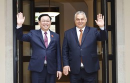 Làm sâu sắc hơn quan hệ Đối tác toàn diện giữa Việt Nam và Hungary