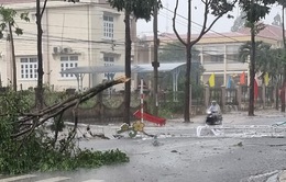 Lốc xoáy gây thiệt hại nặng ở Khánh Hòa