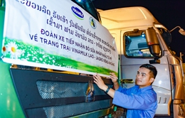 Vinamilk nhập đàn bò sữa 1.000 con từ Mỹ về trang trại bò sữa Lao-Jagro tại Lào