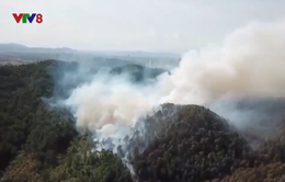 Hà Tĩnh: Nguy cơ cháy rừng ở mức cao