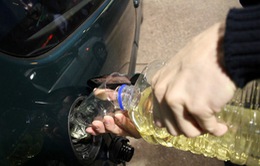 Nhật Bản dùng dầu ăn tái chế làm nhiên liệu sạch