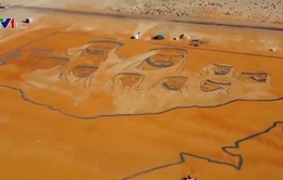 Những bức tranh nghệ thuật khổng lồ từ cát
