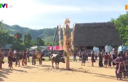 Quảng Nam đưa văn hóa bản địa vào du lịch