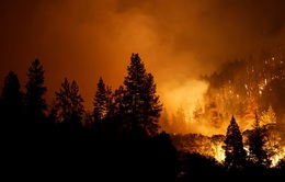 Cháy rừng dữ dội ở California mở rộng phạm vi gấp 62 lần trong đêm