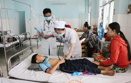 Sở Y tế Thành phố Hồ Chí Minh kêu gọi người dân phản ánh nơi có nguy cơ gây sốt xuất huyết