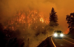 Cháy rừng bùng phát nhanh ở Bắc California, hàng nghìn cư dân phải sơ tán