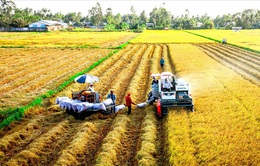 Báo cáo Kinh tế ĐBSCL 2022: Điểm sáng lớn nhất là nông nghiệp
