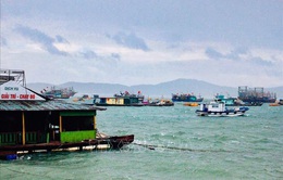 Từ 12h ngày 10/8, Quảng Ninh tạm dừng cấp phép các phương tiện thủy ra khơi