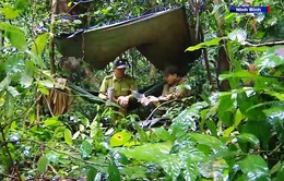 Hai thương binh bất chấp hiểm nguy để xả thân giữ rừng