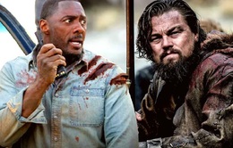 Phim mới của Idris Elba được truyền cảm hứng bởi Leonardo DiCaprio