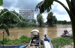 Phát hiện thi thể trên sông Bình Ghi, nghi là người mất tích trong nhóm trốn khỏi casino ở Campuchia