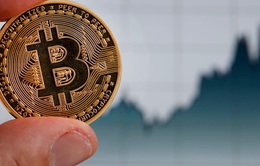 Bitcoin bật tăng sau cú lao dốc