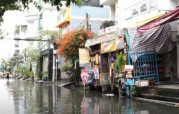 TP Hồ Chí Minh xây dựng kế hoạch chống sụt lún đất