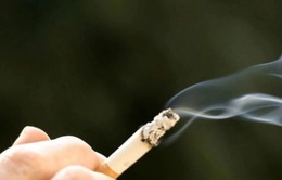 Sẽ phạt nguội người hút thuốc lá nơi công cộng