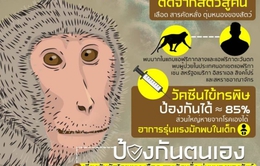 Thái Lan lên kế hoạch tiêm vaccine phòng bệnh đậu mùa khỉ
